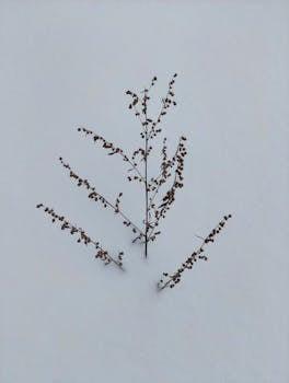 Wormwood: The Super Herb for Parasite Infections and Gut Health